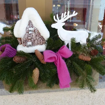 Готель Alpenrose 3*