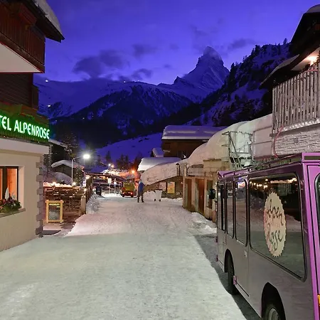 Alpenrose