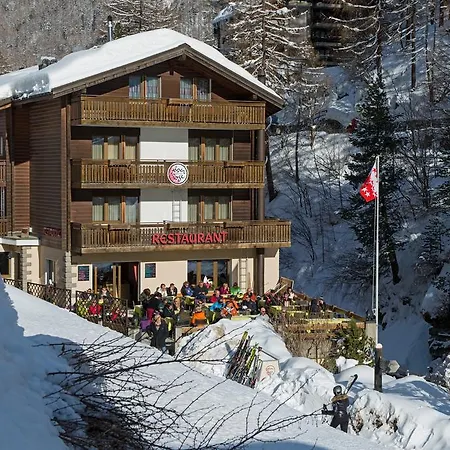 Alpenrose